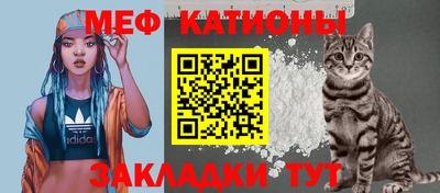 стаф Берёзовский