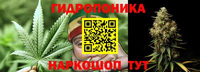 стаф Берёзовский