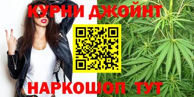 стаф Берёзовский
