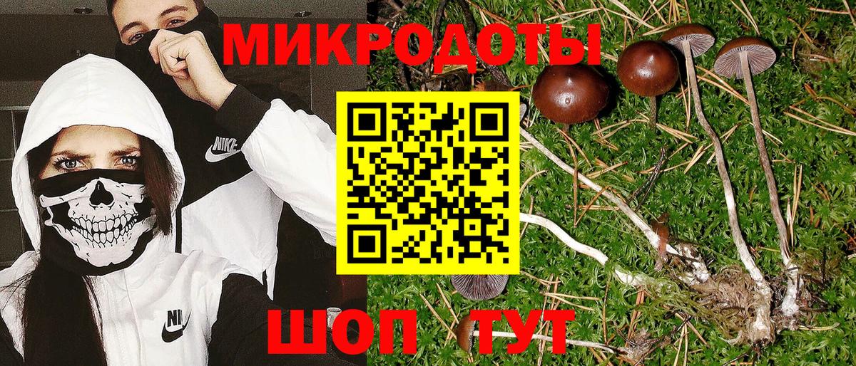 Псилоцибиновые грибы MAGIC MUSHROOMS  Вход с VPN  купить наркотики цена  Каменка  Галлюциногенные грибы мицелий 